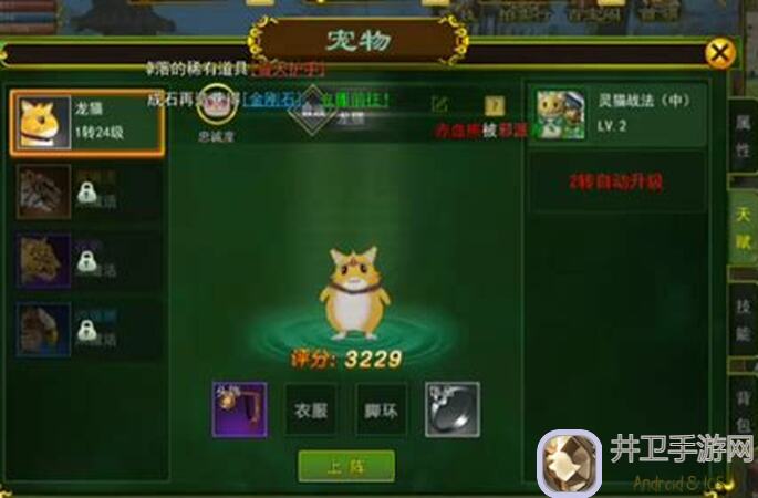 热血江湖热江：揭秘宠物组合战力提升秘籍，到底谁能成为你的得力助手？