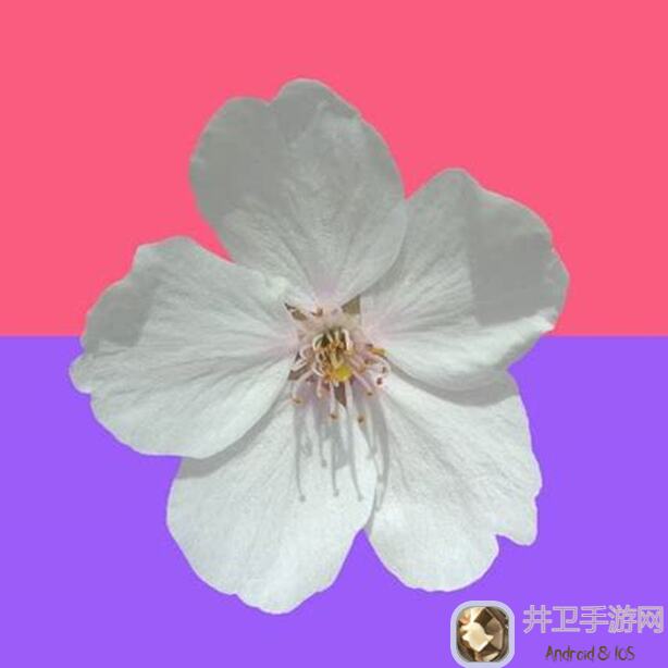 原始传奇冰雪点卡服高爆率地图亲测攻略：秒懂爆装秘籍