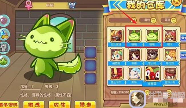 洛克王国：世界版魔力猫超进化攻略，教你轻松提升战力！