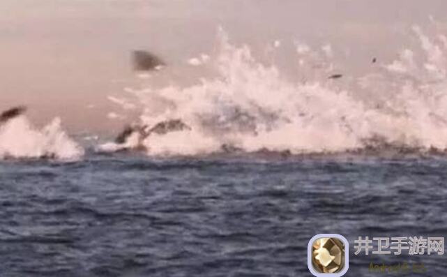 地球末日生存指南：溪水探险，螺旋桨下水道泵，快学会这些英雄搭配战法！